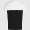 Camiseta monocromática emblemática