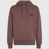 SUDADERA CON CAPUCHA IKON